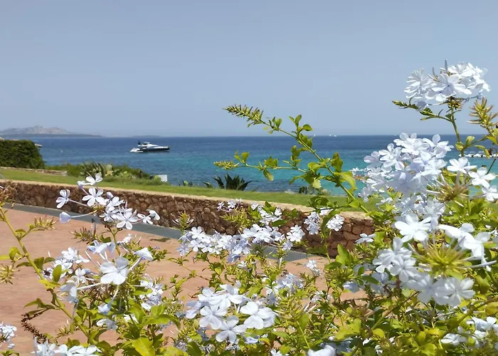 Seaside - Rent From July 25, 2026, To August 15, 2026 巴哈撒丁岛